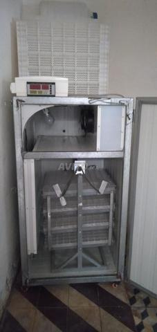 Incubateur d'œufs capacité 500 œufs - 2