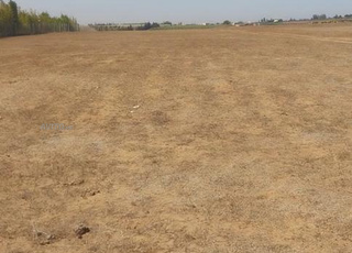 Terrain agricole à vendre