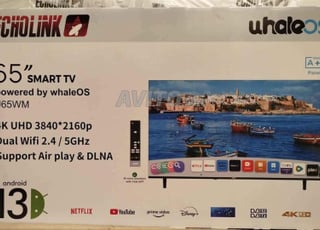 TV Echolink 65 WhaleOS chaînes gratuites à vie