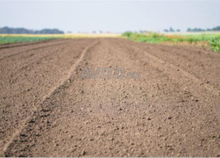 🌱 À Vendre Terrain Agricole – 8 Hectares 🌱