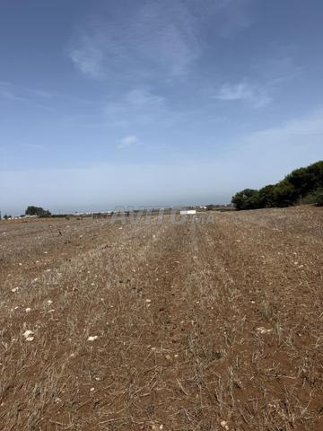 Terrain de 2 Hectares Titré avec vue panoramique sur la mer