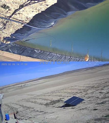 أرض فلاحية للبيع ببومية مجهزة بأشجار لوز - 2