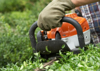 Services de qualité en conception et entretien de jardins