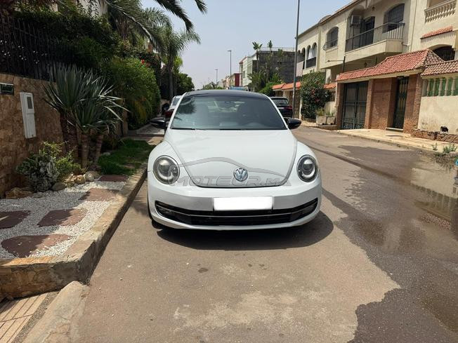 coccinelle 