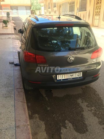 فولكس فاجن تيغوان - مُعفاة