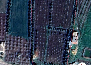 Terrain agricole à vendre