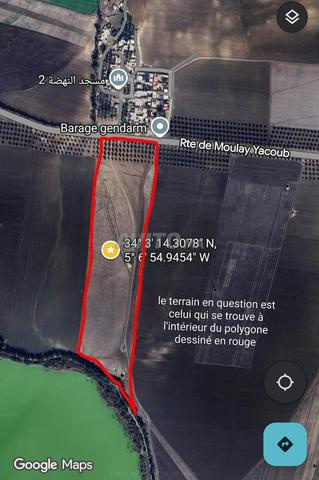 Terrain agricole titré 9,5 ha à Douiat (Fès)