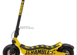 trotinette electrique