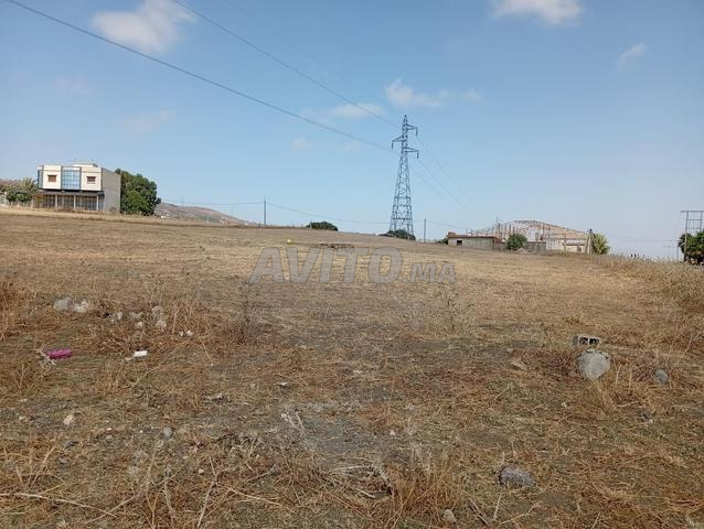 Terrain Titré T.F Surface de 6000 m²