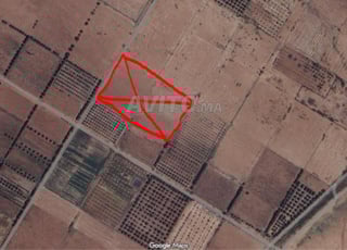 🏞️ Terrain Agricole à Vendre