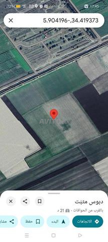 10 hectares près de Wazin Qadous, Souk Jmaa Belkassiri - 2