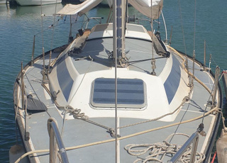 قارب شراعي للبيع