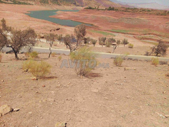 Vends joli terrain titré à Bine Elouidane