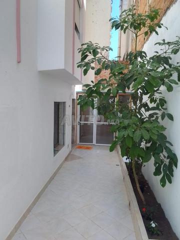 شارع ميرامار قرب اجانيف ومدرسة الأساتذة