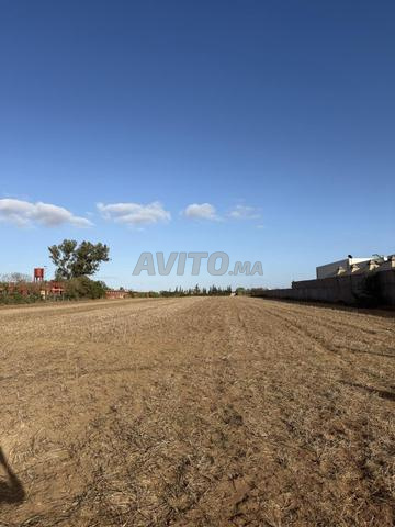 هكتار مسجل ومحفظ في موقع استراتيجي للبيع - 2