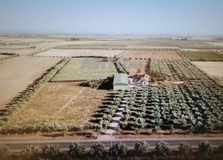 Ferme 11 ha à vendre