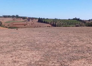 Terrain agricole à vendre à Tiflet Sidi Abdelrazak Khazzana