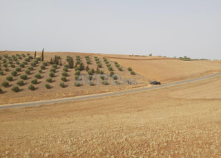 Parcelle de terre à vendre