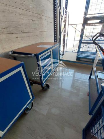 Établi mobile avec 2 plateaux – 500kg