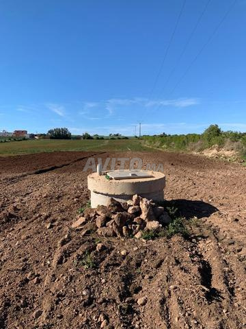 قطعة أرض مسجلة بئر ري بالتنقيط / طريق معبدة - 2