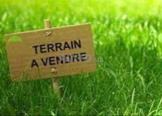 أرض فلاحية ريبعة جماعة سيدي يحيى زعير