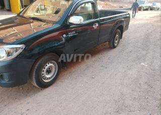 طيوطا هيليكس