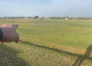 Quatre terrains à vendre à 3 km de Tiflet