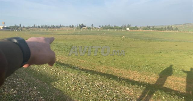 أربعة خدامة محفظة 3 كم من تيفلت مربعة