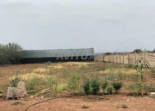 أرض فلاحية مساحتها 1000 متر مربع