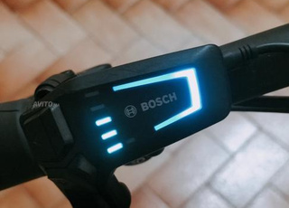 Vélo électrique Ries Müller