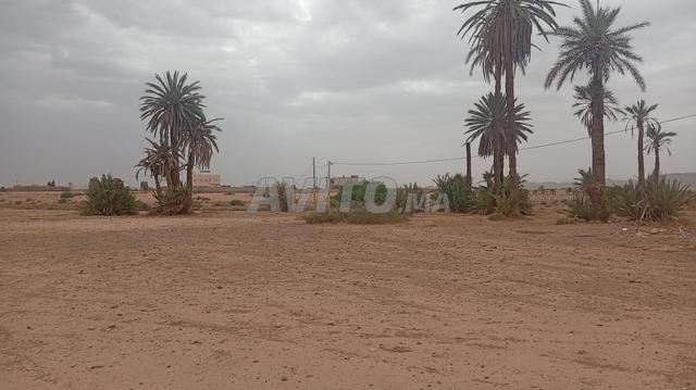 14 km Marrakech, terrain de 22000m² zone industrielle