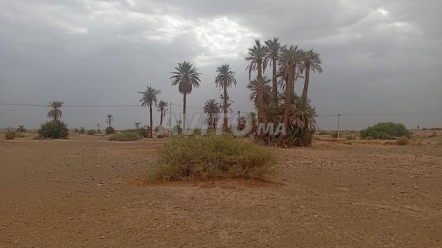 14 km Marrakech, terrain de 22000m² zone industrielle