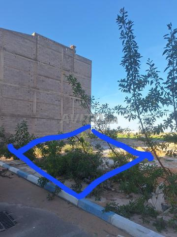 Une opportunité à ne pas manquer - Terrain de 100 mètres carrés