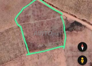 أرض فلاحية إقليم الجديدة