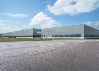 Entrepôt de stockage 50000 m² région Had Soualem