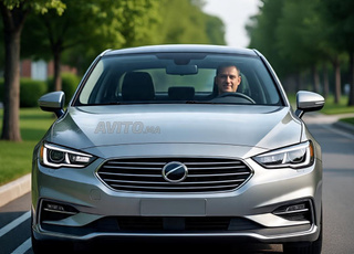 Chauffeur professionnel catégorie B