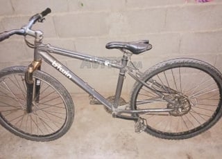 Vélo de type Bitwin