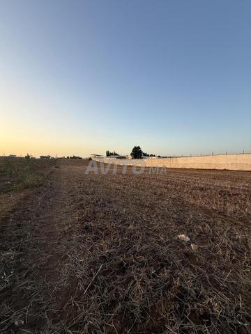 قطعتان أرض بمساحة هكتارين على الطريق المعبدة - 2