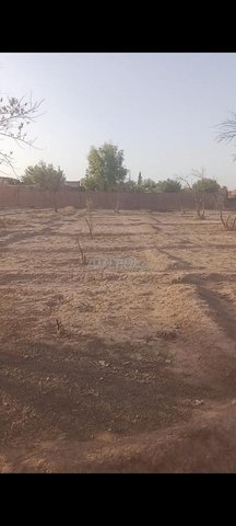 Terrain à vendre à céder dans les environs de Marrakech de 1000 mètres