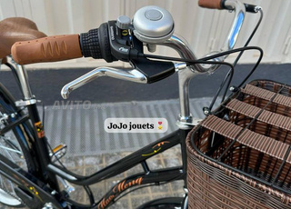 Vélos Madame, le meilleur sur le marché