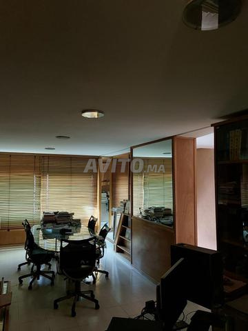 Bureau de 62m² au 1erEt, place Chaouia, Gautier - 2