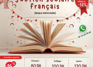 Soutien scolaire (français)