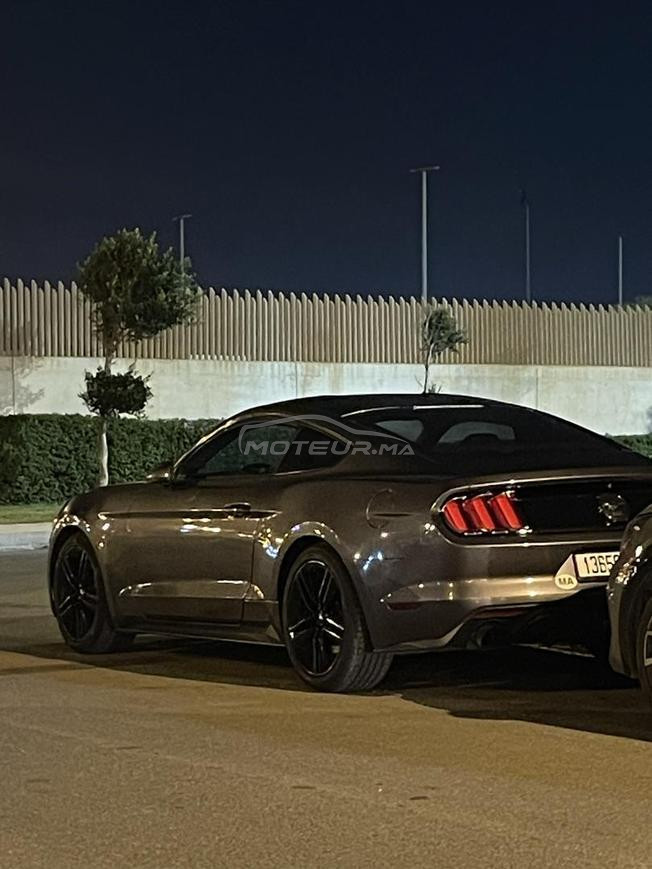 Mustang   330 CV  50 Year Limited Edition 