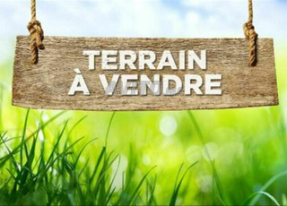 Terrain de 5000m² à vendre situé à Melloussa
