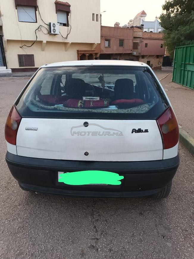 fiat palio
