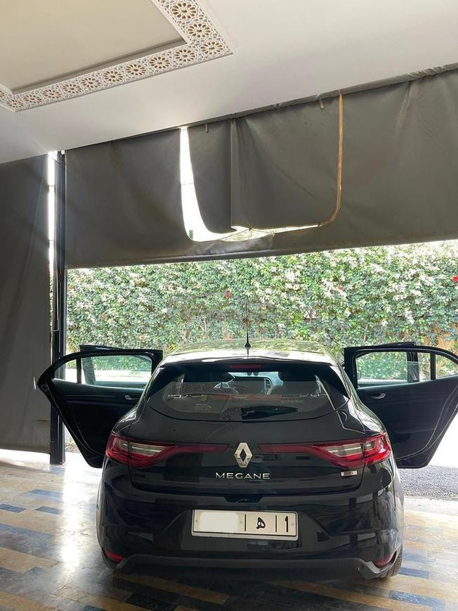 رونو ميگان