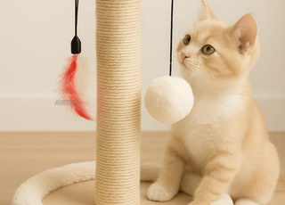 منصة للقطط والطيور كالوبسيت ومولينا