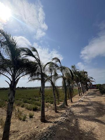 Investissez à Bouznika Terrain Idéal Bien Situé