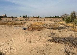 Terrain 3200m² avec chambre et plan d’architecte