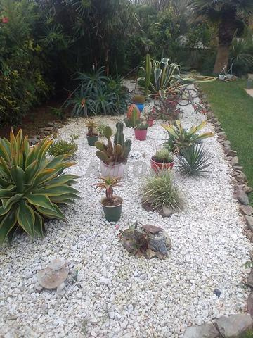 Location Villa avec piscine